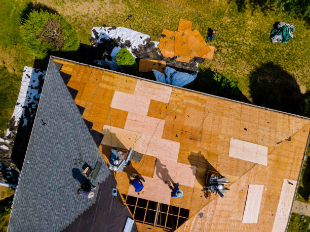 Roof Waterproofing Services in Lewiston, ID
